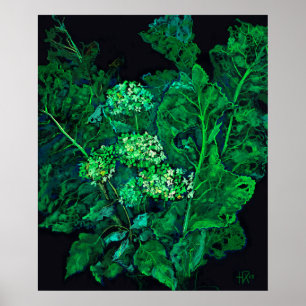 Poster Fleurs d'Hydrangée et raifort Floral Vert Noir
