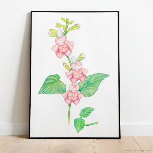 Poster Fleurs d'Imaginaire rose blanc Buds Aquarelle