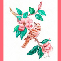Fleurs d'oiseaux