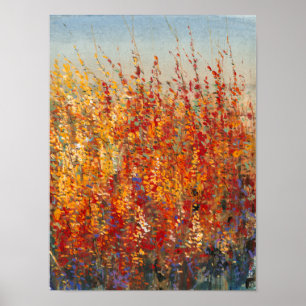 Poster Fleurs du désert II