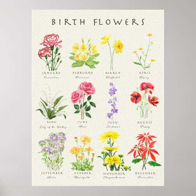 Poster Fleurs du mois de naissance peintes à la main aqua (Devant)