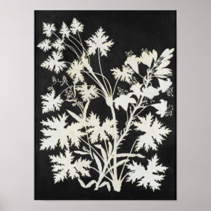Poster Fleurs en silhouette