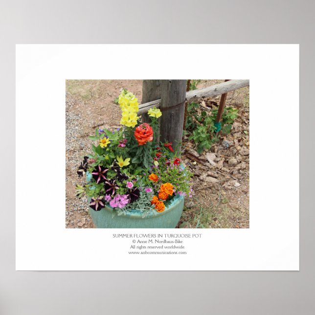 Poster Fleurs estivales en Pot Turquoise (Devant)