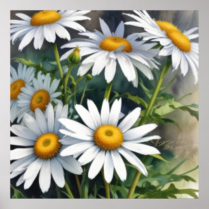 Poster Fleurs et marguerites Elégante aquarelle