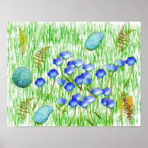 Poster Fleurs Ferns Grass Rocks Photo Peinture