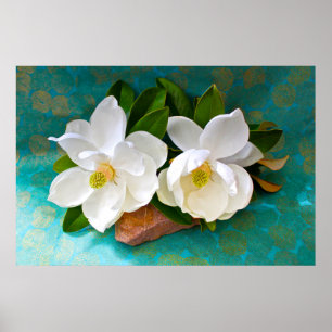 Poster Fleurs   Fleur Magnolia