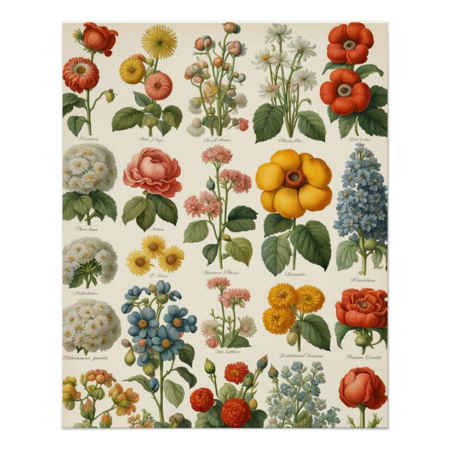 Poster Fleurs florales vintages (Devant)