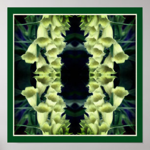 Poster Fleurs Foxglove crémeuses Miroir Abstrait