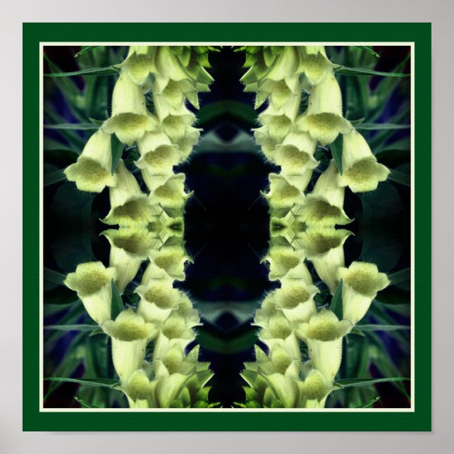 Poster Fleurs Foxglove crémeuses Miroir Abstrait (Devant)
