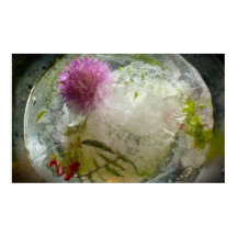 Fleurs Gelées,