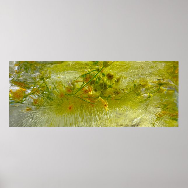 Poster Fleurs glacées, (Devant)