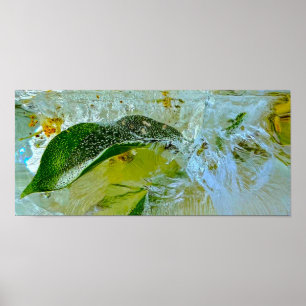 Poster Fleurs glacées,
