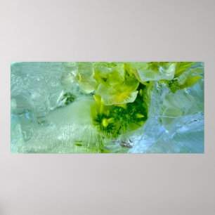 Poster Fleurs glacées,