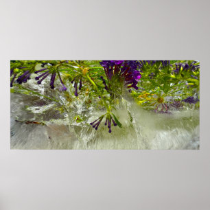 Poster Fleurs glacées,