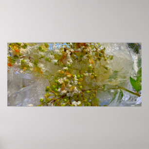 Poster Fleurs glacées,