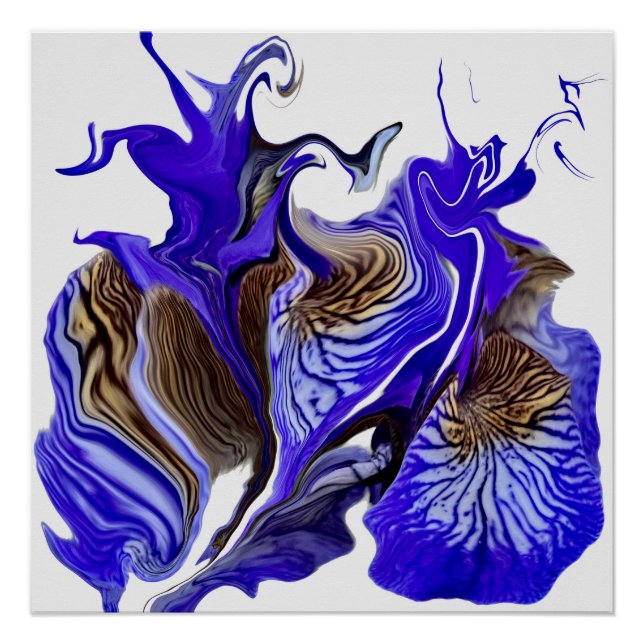 Poster Fleurs Iris Violets (Devant)