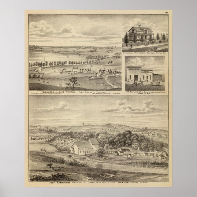 Poster Fleurs, Isenours Glenwood, Minnesota (Devant)