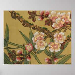 Poster Fleurs Japonaises Asiatiques Floraison de Cerisier