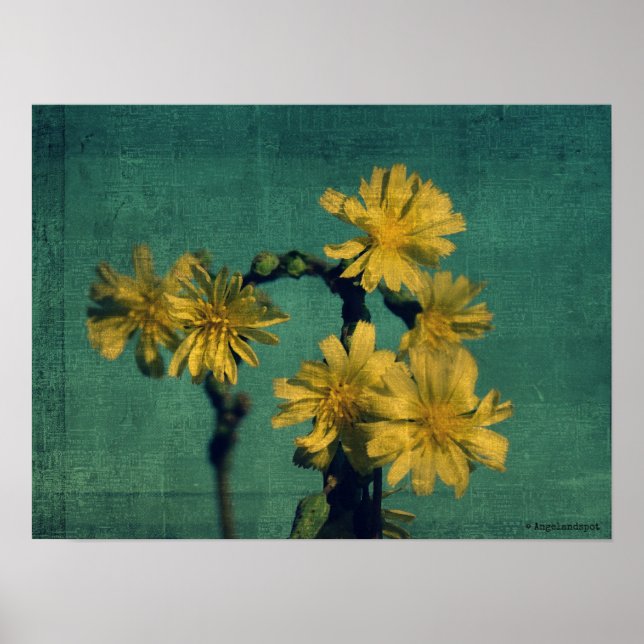 Poster Fleurs jaunes (Devant)
