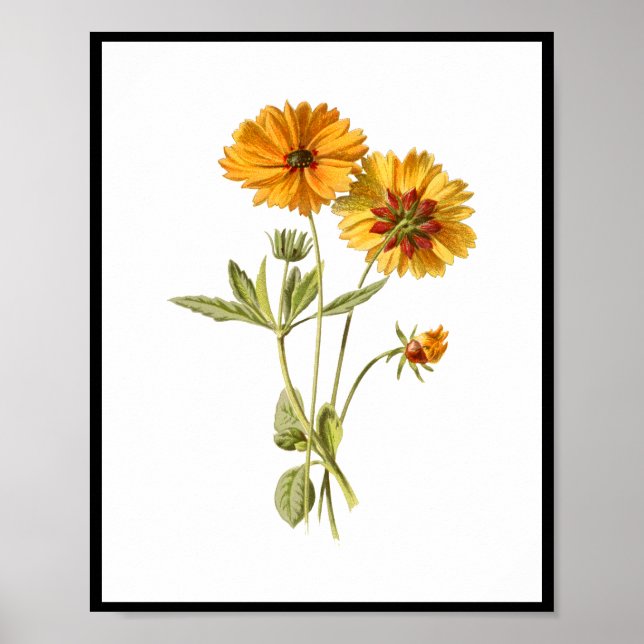 Poster Fleurs Jaunes simples Florales (Devant)