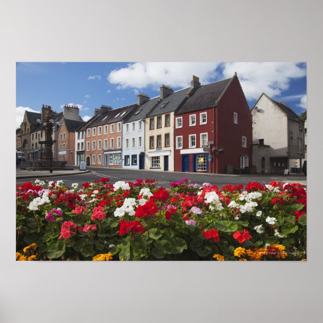 Poster Fleurs Le Long D'Une Rue Dans Un Quartier Résident (Devant)
