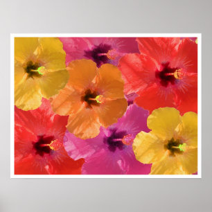 Poster Fleurs lumineuses