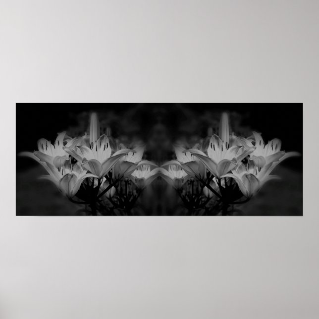 Poster Fleurs Lys En Miroir Noir Et Blanc Abstrait (Devant)