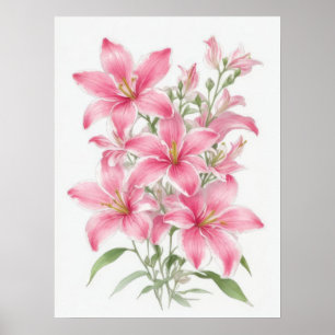 Poster Fleurs Lys Roses