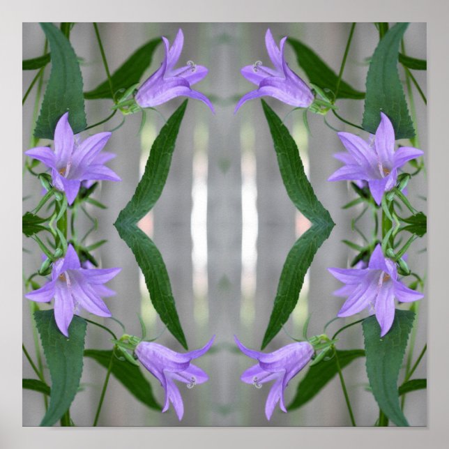 Poster Fleurs Lys violettes délicates Abstraites (Devant)
