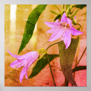 Poster Fleurs Lys Violettes Délicieuses Art Décoré