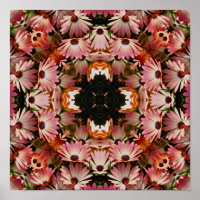 Poster Fleurs marguerites africaines roses Abstraites (Devant)