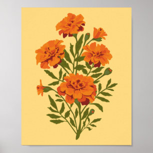Poster Fleurs Marigold