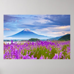 Poster Fleurs   Mont Fugi Japon