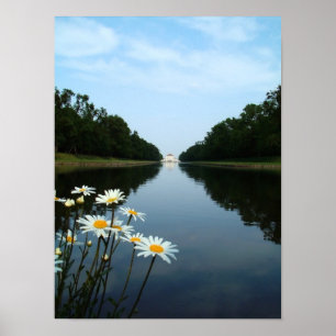 Poster Fleurs Nymphenburg