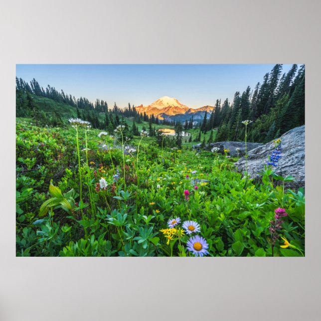 Poster Fleurs | Parc national du Mont Rainier (Devant)