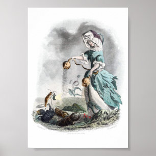 Poster Fleurs personnifiées -Pavot