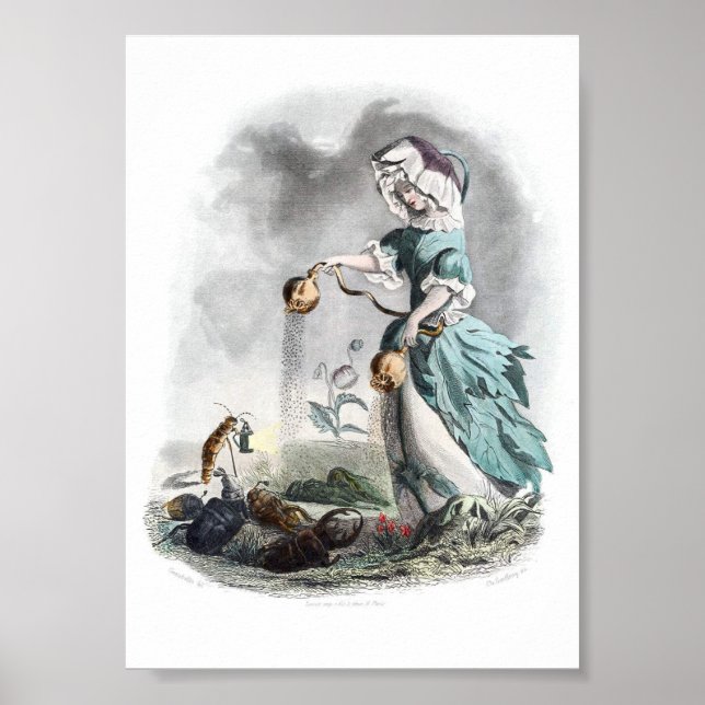 Poster Fleurs personnifiées -Pavot (Devant)