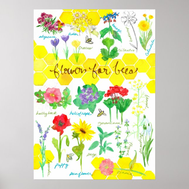 Poster Fleurs plantes pour abeilles Aquarelle (Devant)