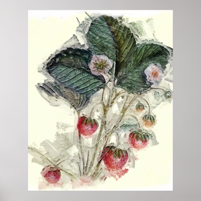 Poster Fleurs Plantes vintages fraises Aquarelle (Devant)