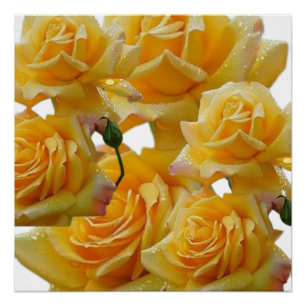 Poster Fleurs pour maisons