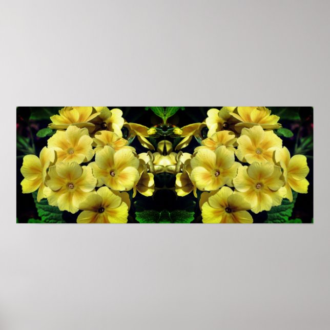 Poster Fleurs printanières de Primrose Jaune en miroir Ab (Devant)