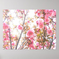 Fleurs printanières Floral rose cerise fleurs Abst
