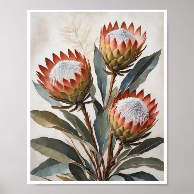 Poster Fleurs Protea Peinture Mur Art Décor Salle (Devant)