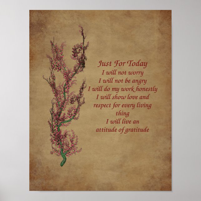 Poster Fleurs Reiki Juste Pour Aujourd'Hui Inspirationnel (Devant)