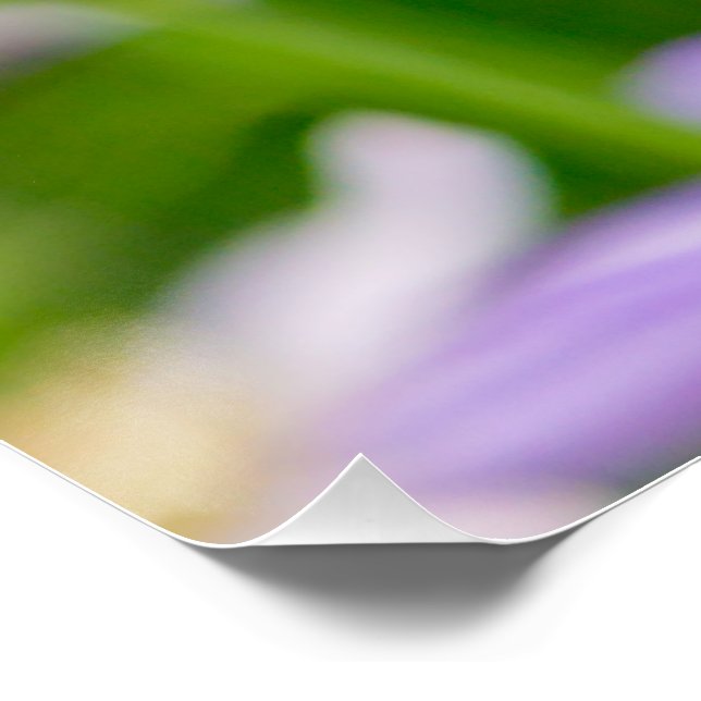 Poster Fleurs rêvées - Violet (Coin)