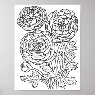Poster Fleurs romantiques - Page de coloration avancée