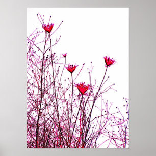 Poster fleurs roses