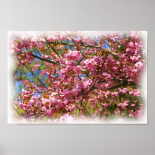 Poster Fleurs roses Aquarelle Photo Peinture Fleur