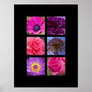 Poster Fleurs roses et pourpres d'impression -
