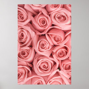 Poster Fleurs Roses roses